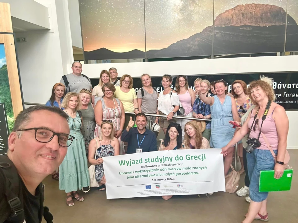 wyjazd studyjny grecja